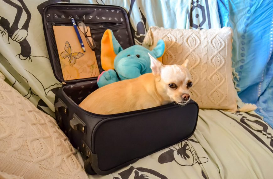 Lista delle cose da portare in viaggio